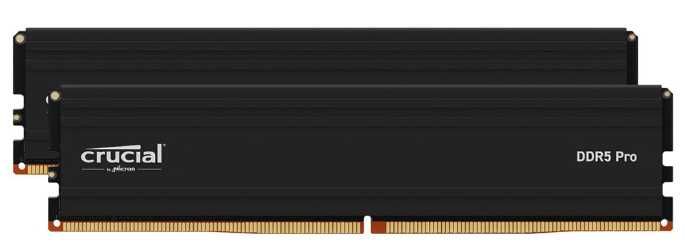 Crucial Pro 48GB DDR5 6000MHz | Scorptec Computers | Scorptec
